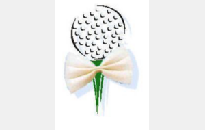 GE CHIC B #1 - GOLF DE TOURS ARDREE