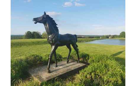 Résultats Championnat de France Golf Entreprise 2021 par équipe - Mont Griffon